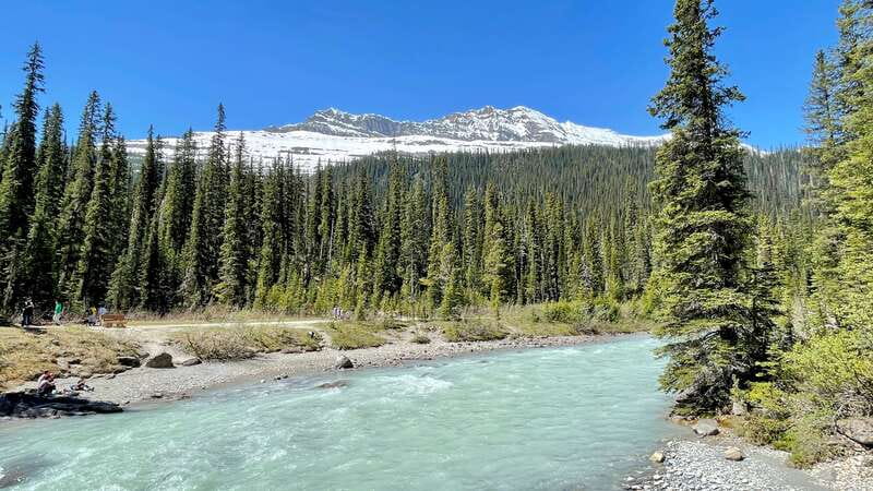 From Calgary: Banff & Yoho National Parks Private Day Tour - Is $748 Good Value for Three People?