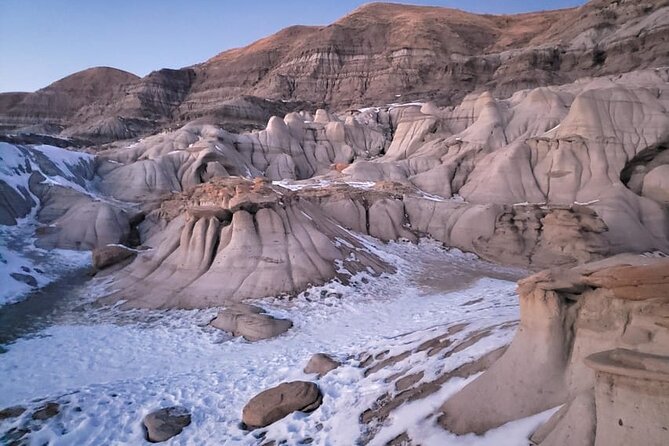 From Calgary: Drumheller Badlands Private Tour (Small Group) - Drumheller’s giant T. rex is pure roadside fun