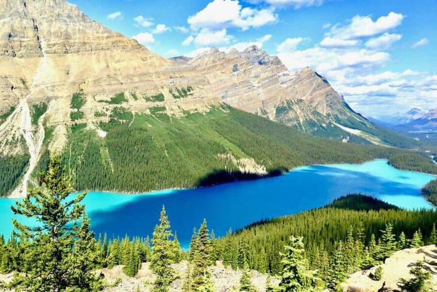 From Calgary: Explore 4 Stunning Lakes in Banff & Yoho - Peyto Lake: the first major viewpoint