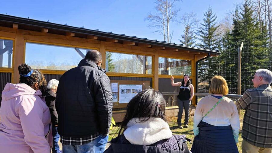 From Calgary to Banff: Day Trip with Wolfdog Sanctuary Visit - Why the wolfdog sanctuary changes the usual Banff day trip