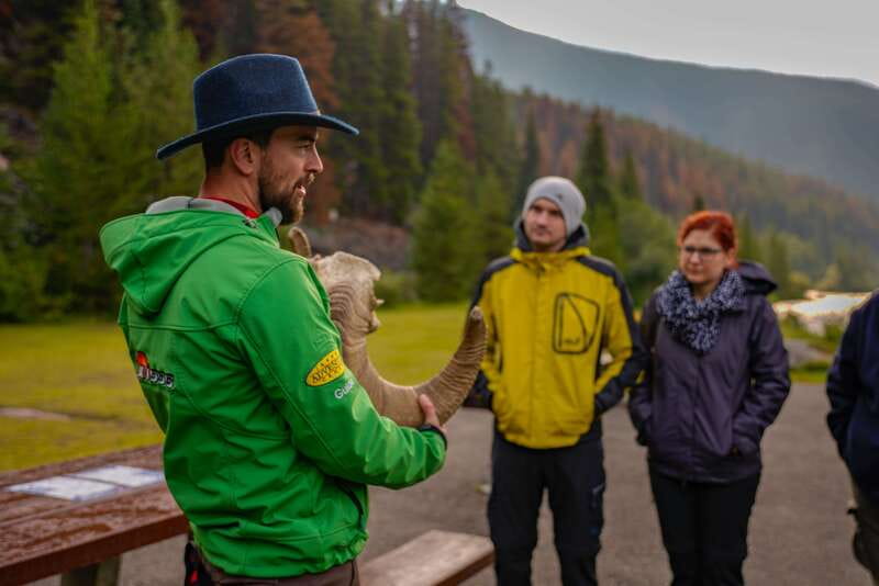 From Jasper: Jasper National Park Wildlife Discovery Tour - Looking for animals without chasing them