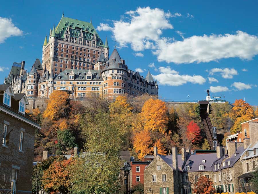 From Montreal: Full-Day Tour of Quebec City with Cruise - Who Will Get the Most from This Trip