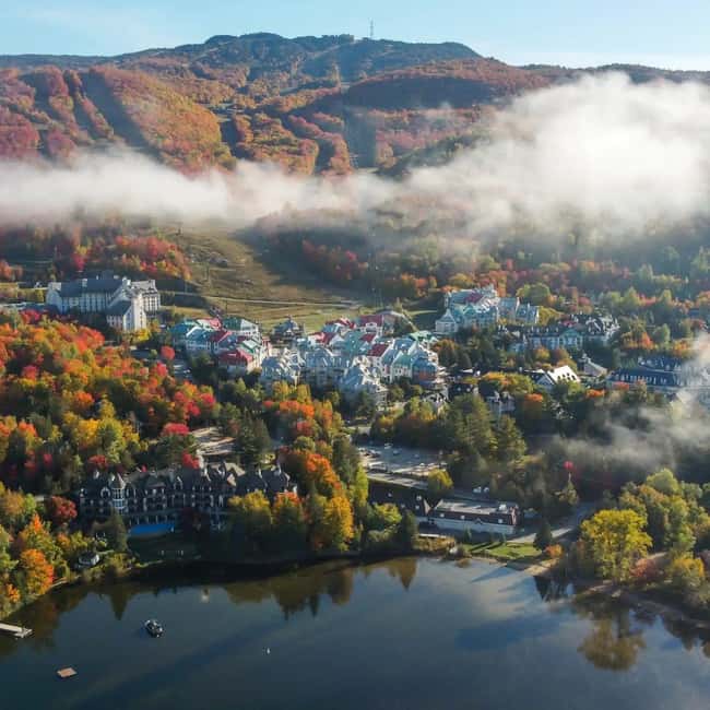 From Montréal: Mont-Tremblant 1-Day Tour - Sentier des Cimes Laurentides, a walk above the trees