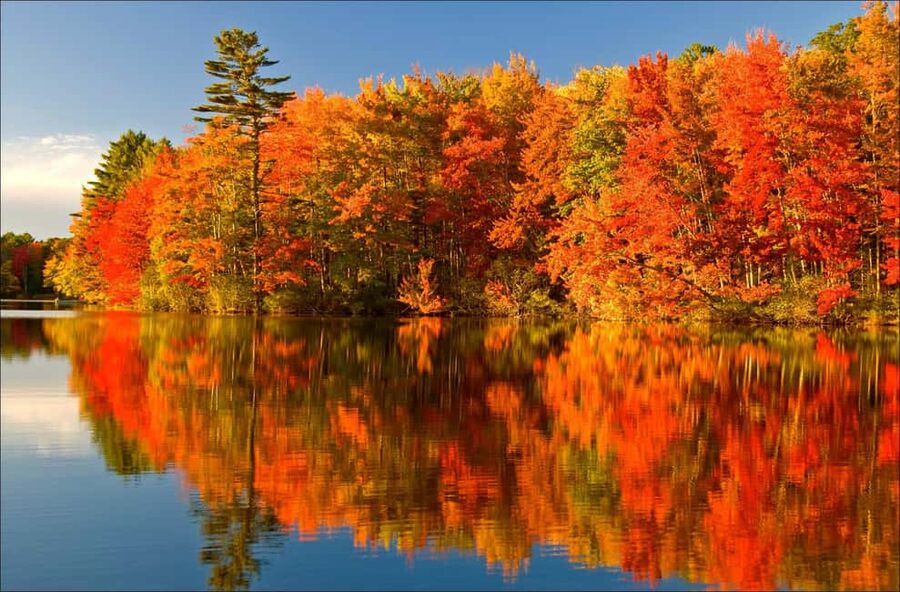 From Montréal: Mont-Tremblant 1-Day Tour - Starting from Montréal at 68 Boulevard René-Lévesque O