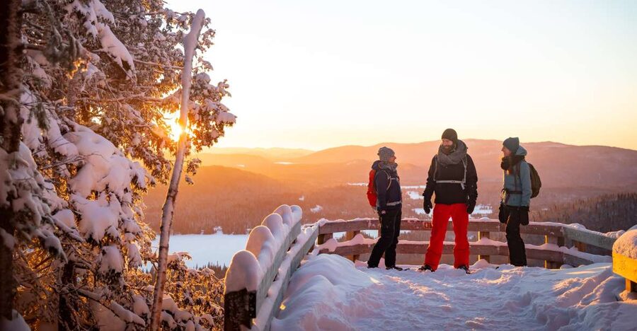 From Montreal: Mont-Tremblant National Park Hiking Day Trip - Key points to know before you book