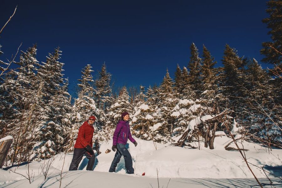 From Montreal: Mont-Tremblant National Park Hiking Day Trip - Who should book this day trip