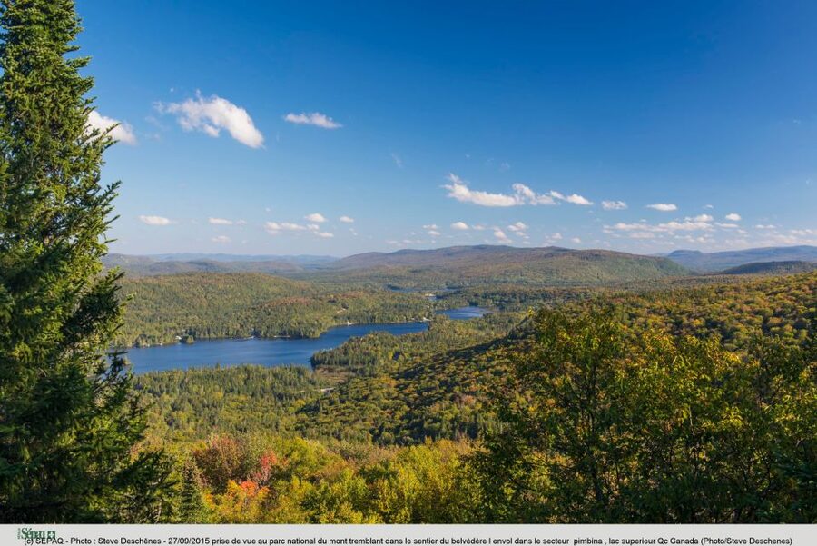 From Montreal: Mont-Tremblant National Park Hiking Day Trip - Picnic time in the forest