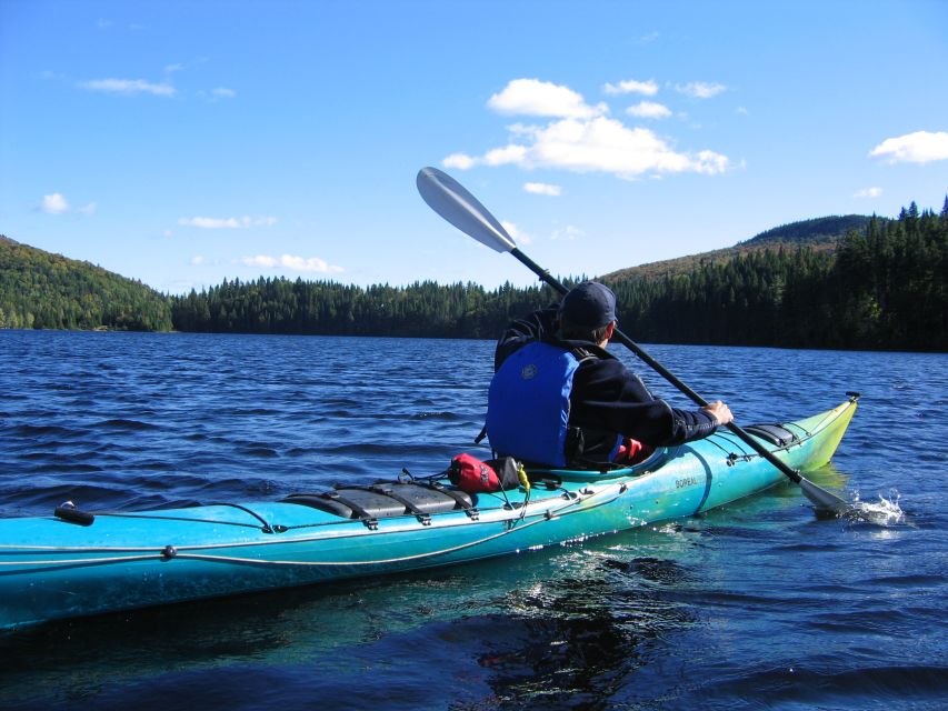 From Montreal: Mont-Tremblant National Park Hiking Day Trip - Chute-aux-rats and the river route