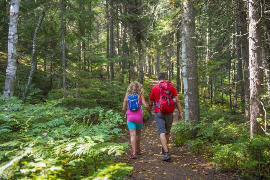 From Montreal: Mont-Tremblant National Park Hiking Day Trip - L’Envol and Le Geai Bleu for stronger hikers