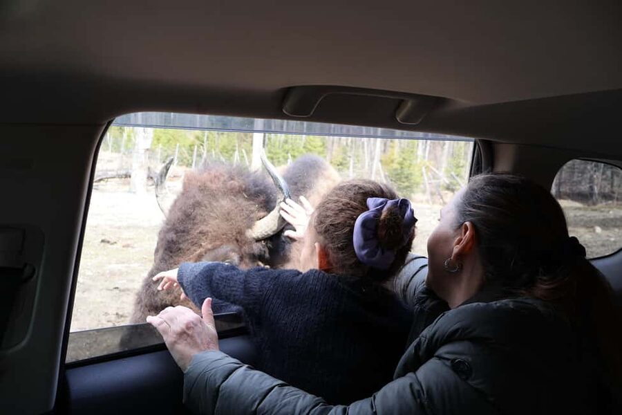 From Montreal: Omega Park Wildlife Safari Calling Sounds - What the seven to nine hours really include