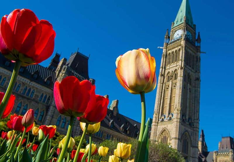 From Montreal: Private Ottawa Full Day Tour - The Montreal to Ottawa drive