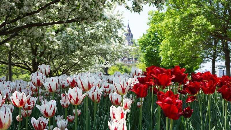 From Montreal: Private Ottawa Full Day Tour - Who should book this Ottawa day trip?