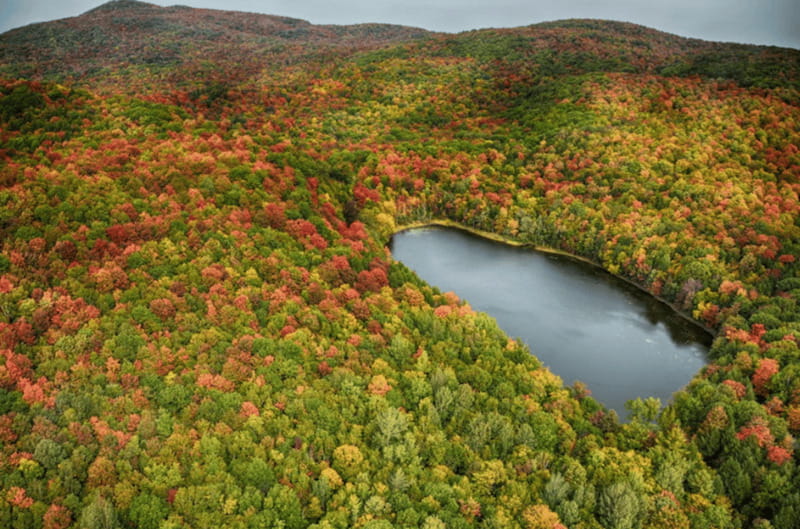 From Montreal: Scenic Montérégie Helicopter Tour - Who should book this flight?