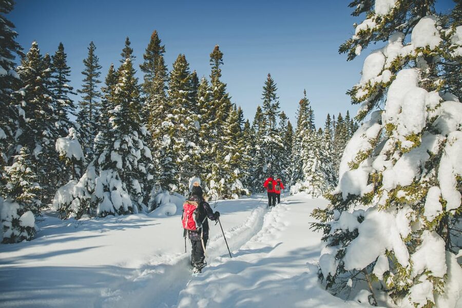 From Montreal: Sept-Chutes Regional Park Hike - Should you book the Sept-Chutes day trip?