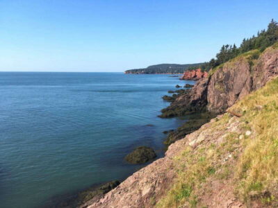 Bay of Fundy Bus Trip for Cruise Passengers