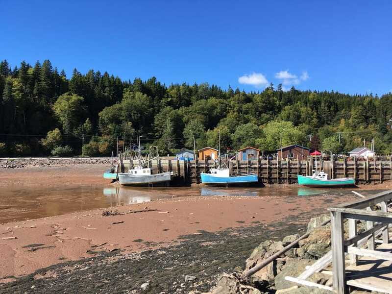 From Saint John: Bay of Fundy Bus Trip for Cruise Passengers - Four hours around the Bay of Fundy