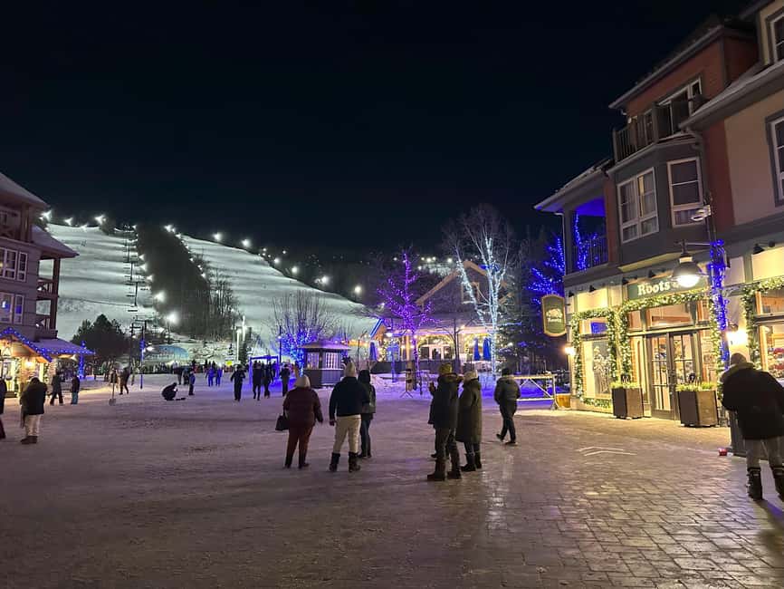 From Toronto: Blue Mountain Day Trip Skiing Snowboarding - Key points to know before you book