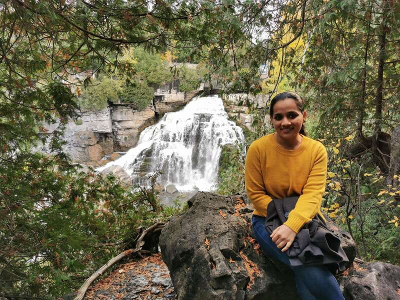 From Toronto: Bruce Peninsula National Park Guided Day Trip - Winter, summer, and rainy-day expectations
