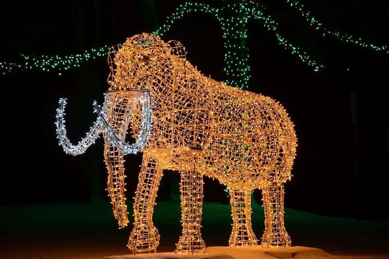 From Toronto: Winter Festival of Lights Niagara Falls Tour - The Winter Festival of Lights after dark