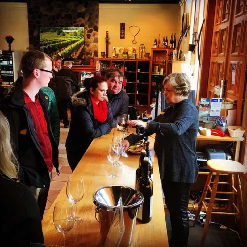 From Vancouver: Fraser Valley Wine Tour with Local Tastings - From downtown Vancouver to Fraser Valley vineyards