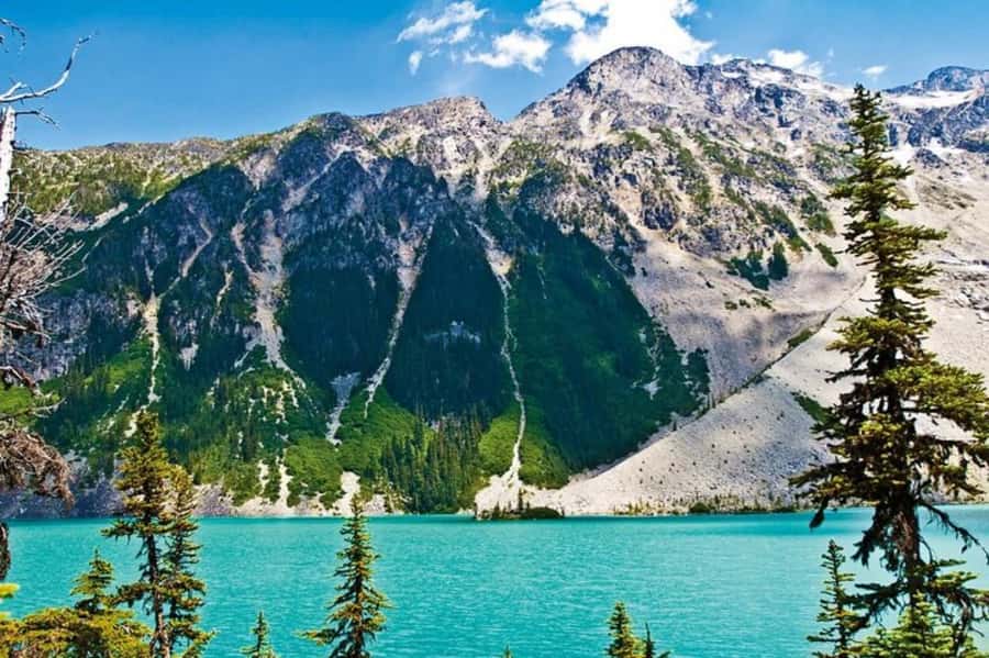 From Vancouver: Whistler Tour with Shannon Falls and Gondola - Key points at a glance