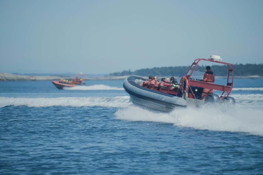 From Victoria: Whale Watching Marine Wildlife Excursion - Booking details that affect your choice