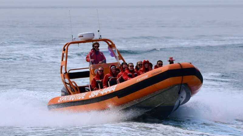 From Victoria: Whale Watching Tour by Zodiac Boat - Searching the Salish Sea for whales