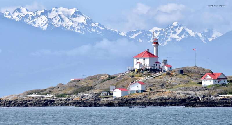 From Victoria: Whale Watching Tour by Zodiac Boat - Weather decides how comfortable the day feels