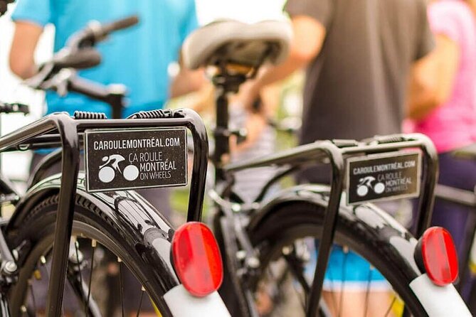 Full Day Family Bike Rental - A Self-Guided Day Versus a Guided Ride