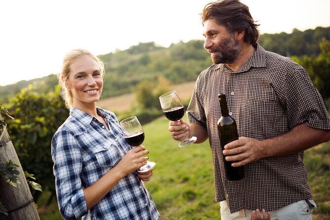 Full-Day Group Wine Tour (with cheese and charcuterie) in Niagara-on-the-Lake - Between the Lines, wine with a proper snack