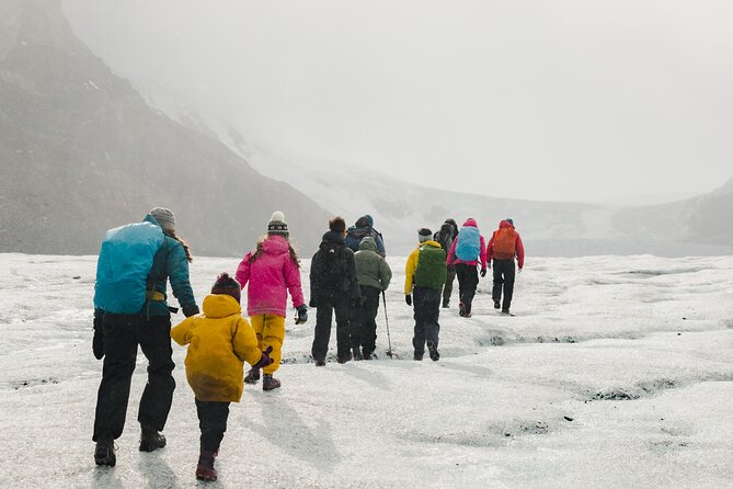 Full Day Guided Glacier Hike on The Athabasca with IceWalks - Walking past the roadside viewpoint