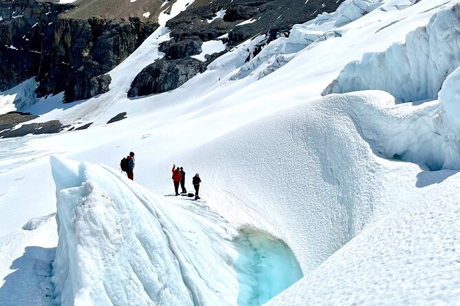 Full Day Guided Glacier Hike on The Athabasca with IceWalks - Why the full day is worth the extra time