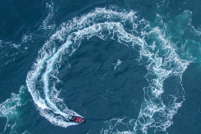 Full Day Whale Watching Campbell River - Is $266.62 a fair price?