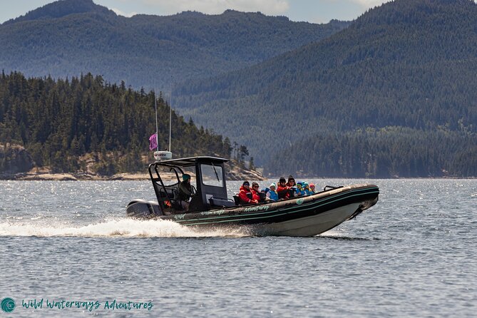 Full Day Whale Watching Campbell River - Watching orcas and humpbacks in the same day