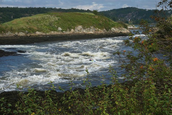 Fundy Coast to Fundy Shore Tour - Why this Fundy excursion works for cruise passengers