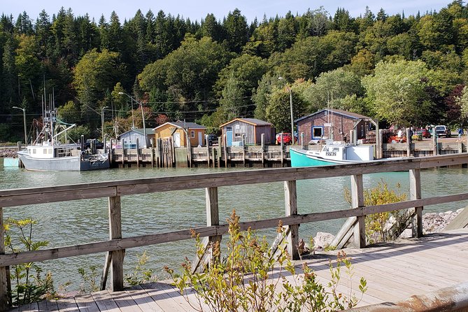 Fundy Coast to Fundy Shore Tour - Who should book this tour