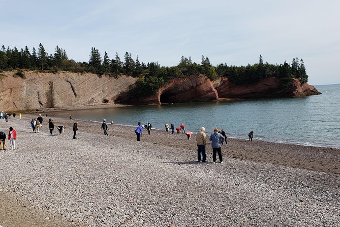 Fundy Coast to Fundy Shore Tour - Booking and cruise-day timing