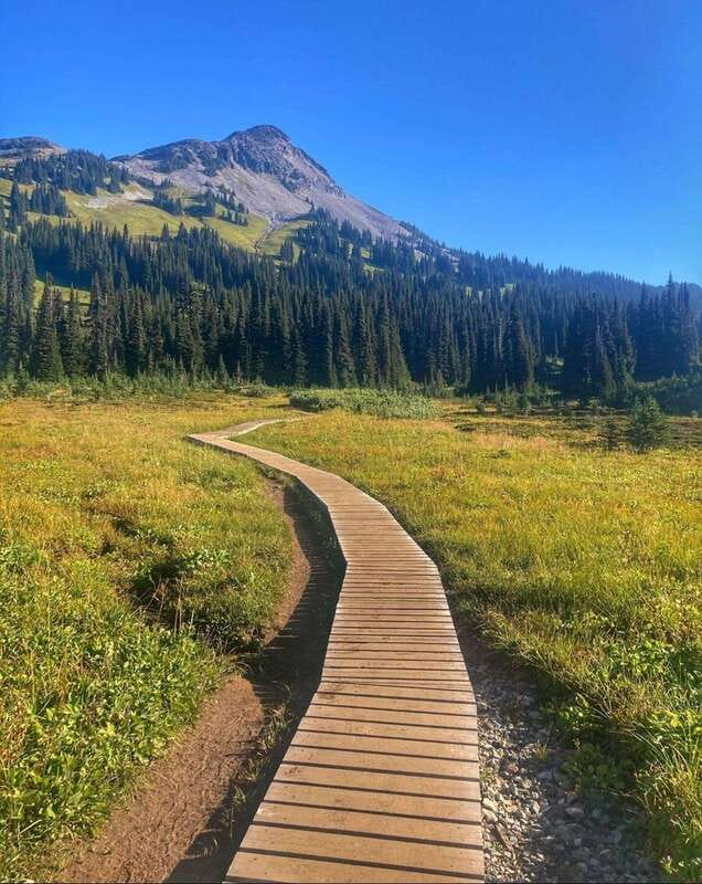 Garibaldi Park/ Panorama Ridge/ Hiking Day Trip - Key points before you book