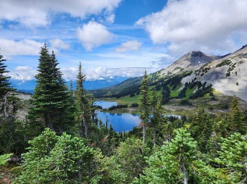 Garibaldi Park/ Panorama Ridge/ Hiking Day Trip - Should you book Panorama Ridge with Hikingproguide?