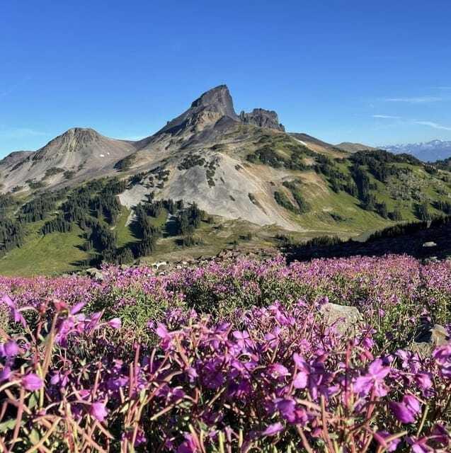 Garibaldi Park/ Panorama Ridge/ Hiking Day Trip - The views you will photograph