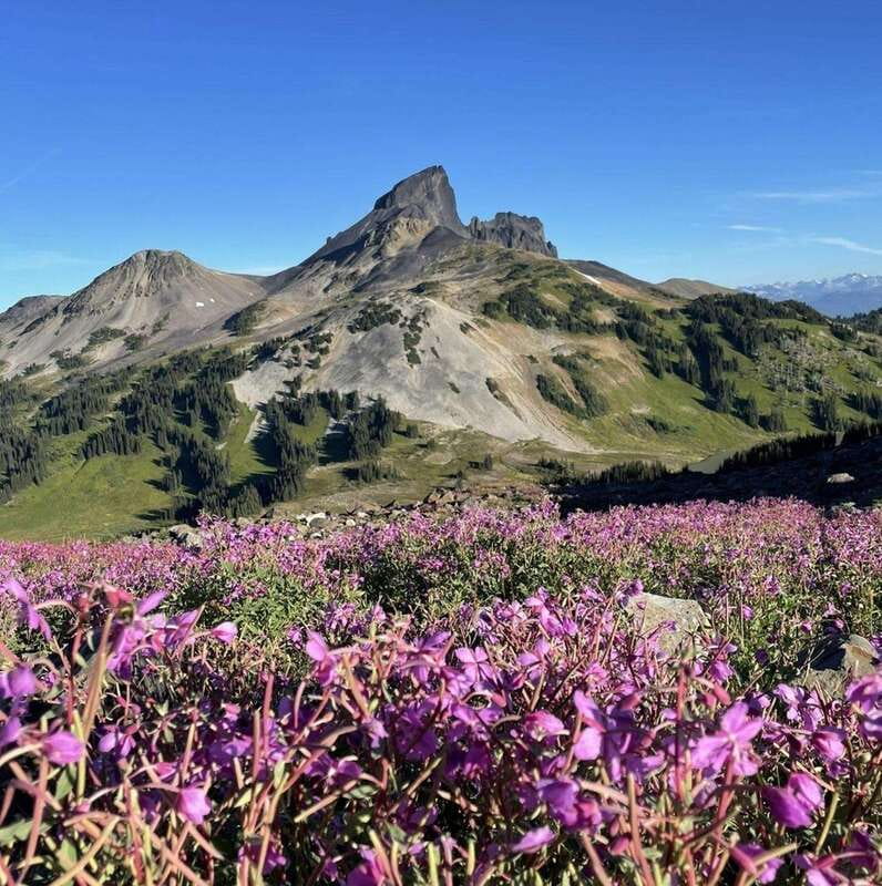 Garibaldi Park/ Panorama Ridge/ Hiking Day Trip - Who should book this hike?