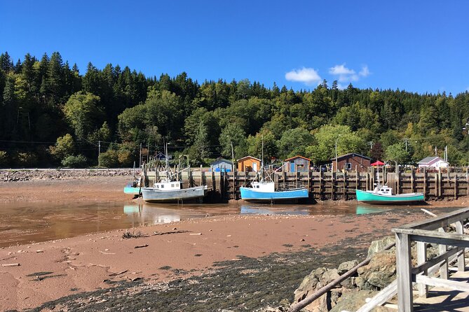 Go Fundy Tours - Why the changing tide is the star of the day