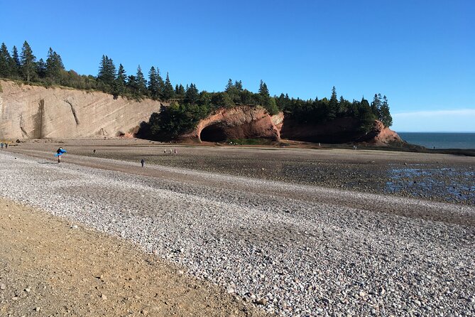 Go Fundy Tours - Guides who shape the experience