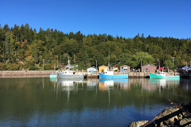 Go Fundy Tours - The walking level and who will enjoy it most