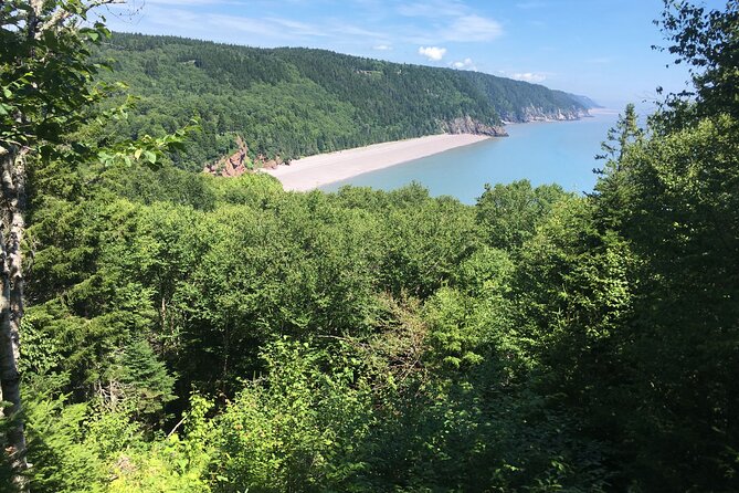 Go Fundy Tours - Seasonal timing and cancellation terms