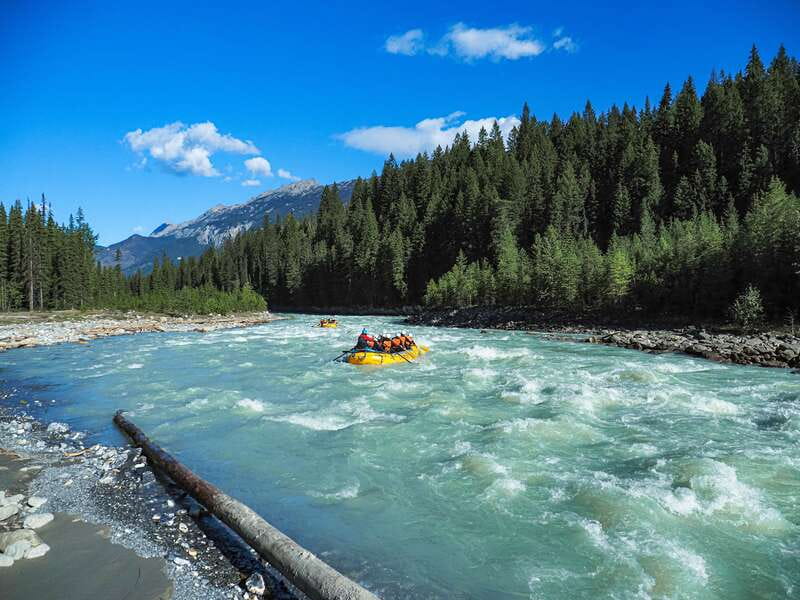 Golden, BC: Kicking Horse River Half Day Whitewater Rafting - Who should book this rafting experience