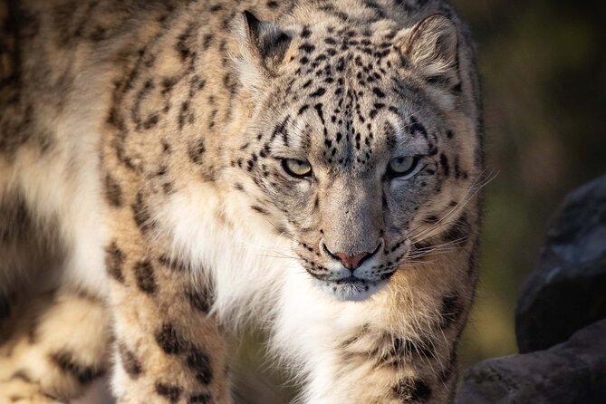 Granby Zoo 1 Day - Why Granby makes a good day trip from Montreal