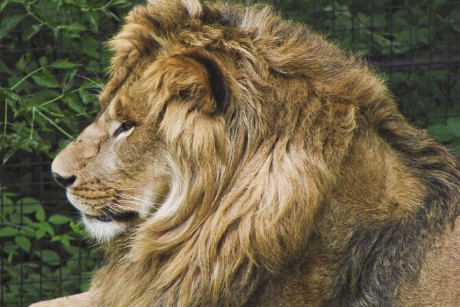 Granby Zoo 1 Day - What the $46 price really covers
