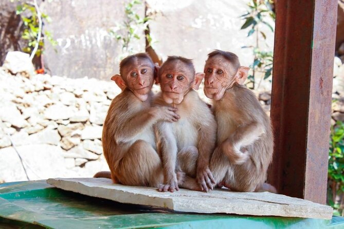 Granby Zoo 1 Day - Booking, confirmation, and cancellation details