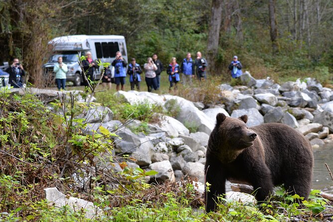 Great Bears of Bute: Grizzly Bear Viewing & Indigenous Cultural Tour - Why this tour is more than a bear-spotting trip